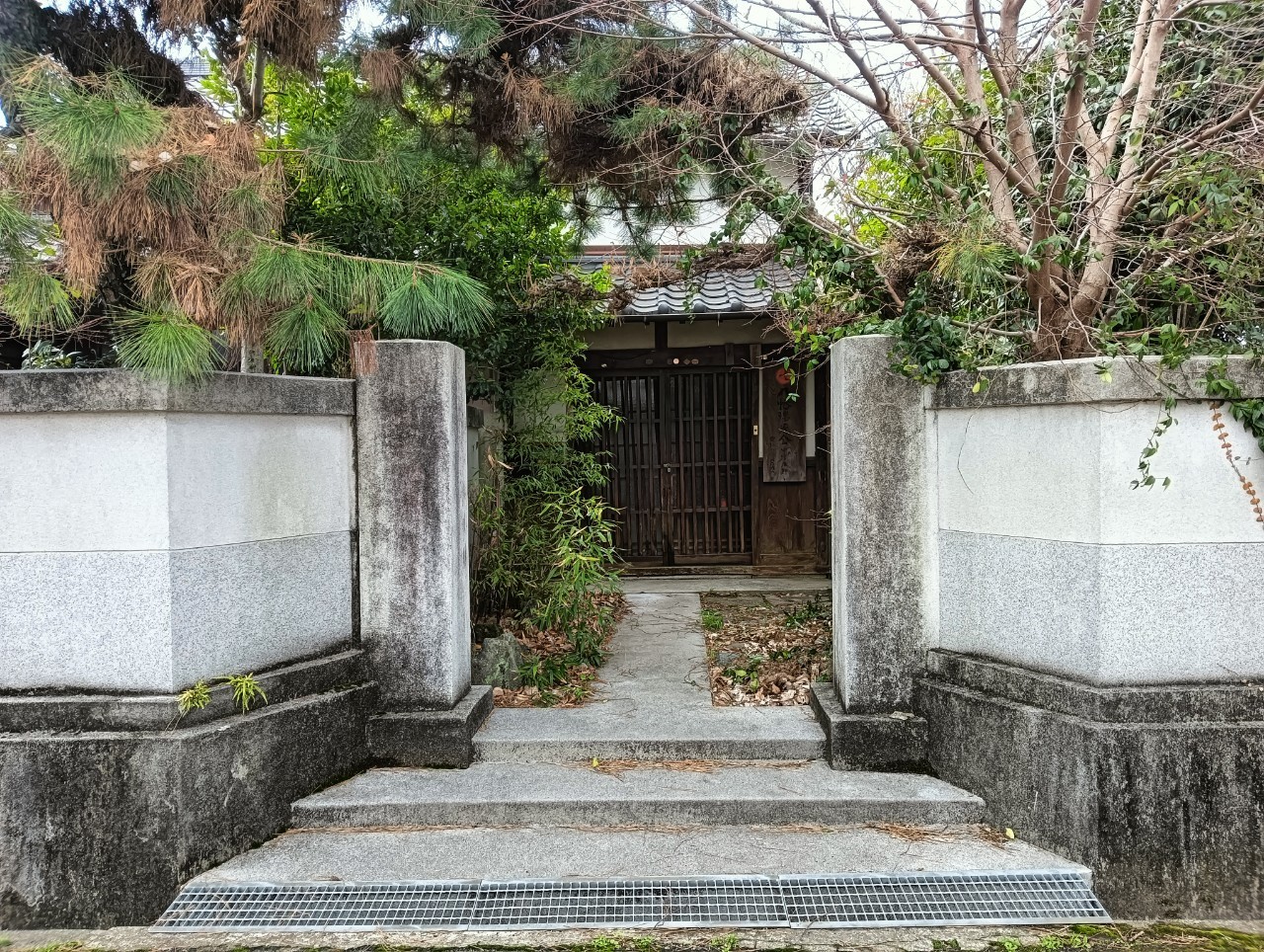 #55_大分県中津市