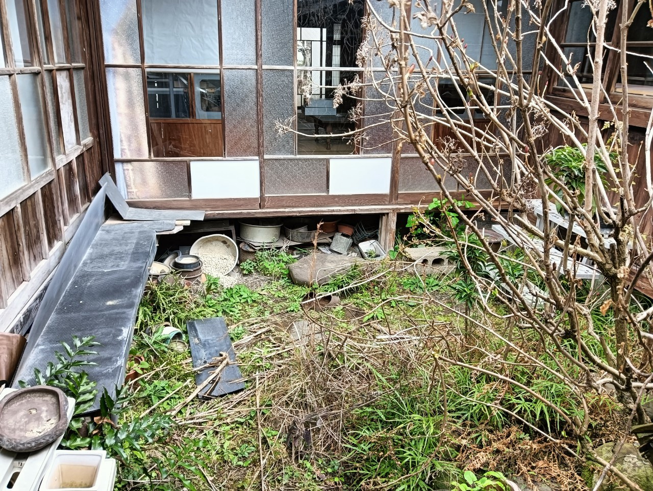 #55_大分県中津市