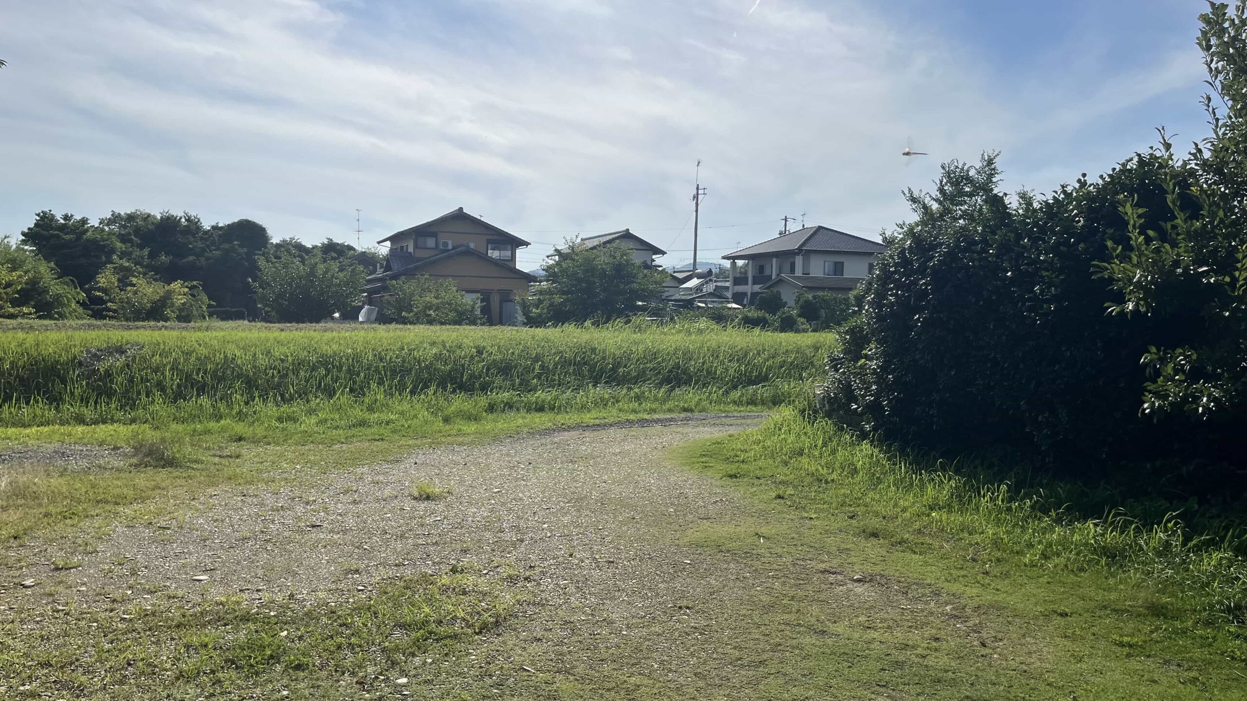 #25_静岡県湖西市
