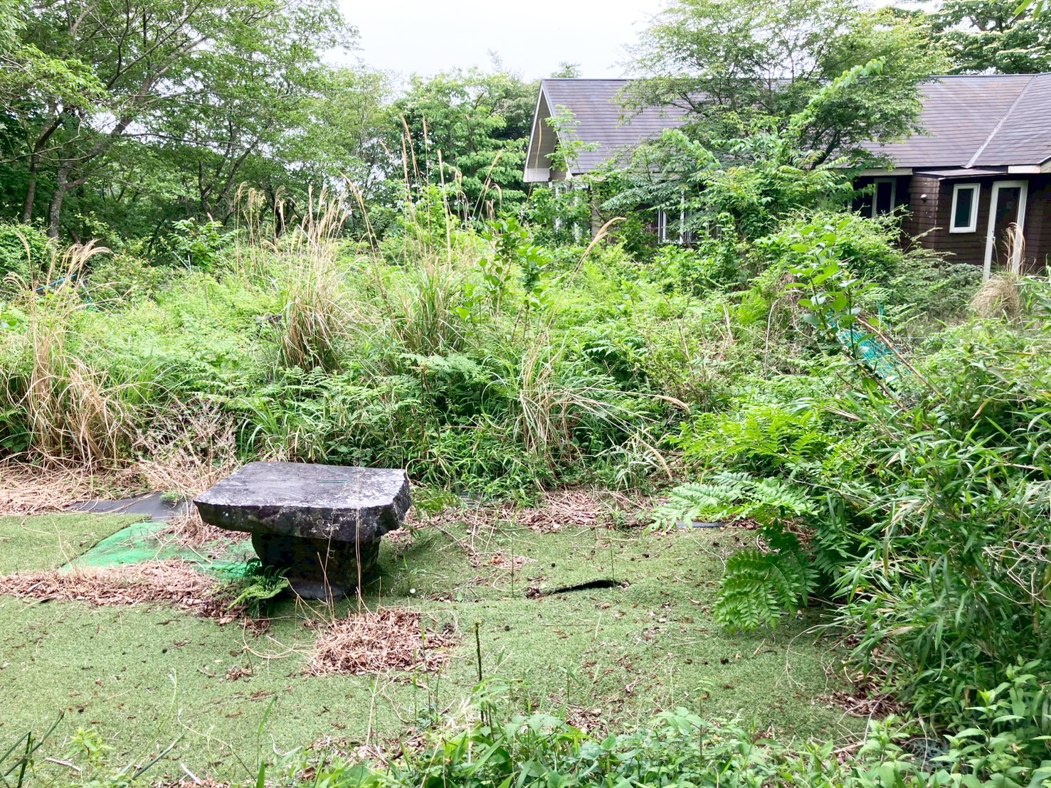 #83_静岡県賀茂郡東伊豆町