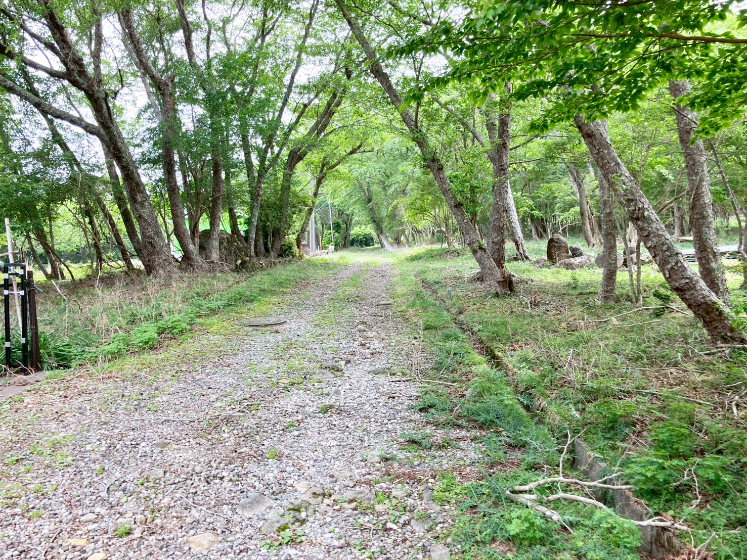 #83_静岡県賀茂郡東伊豆町