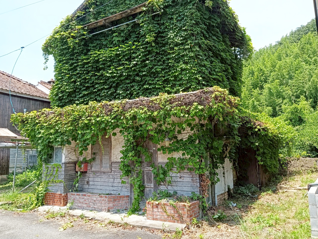 #81_山口県美祢市