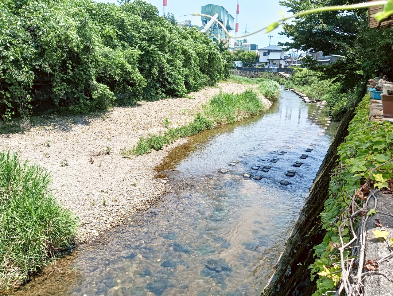 #81_山口県美祢市