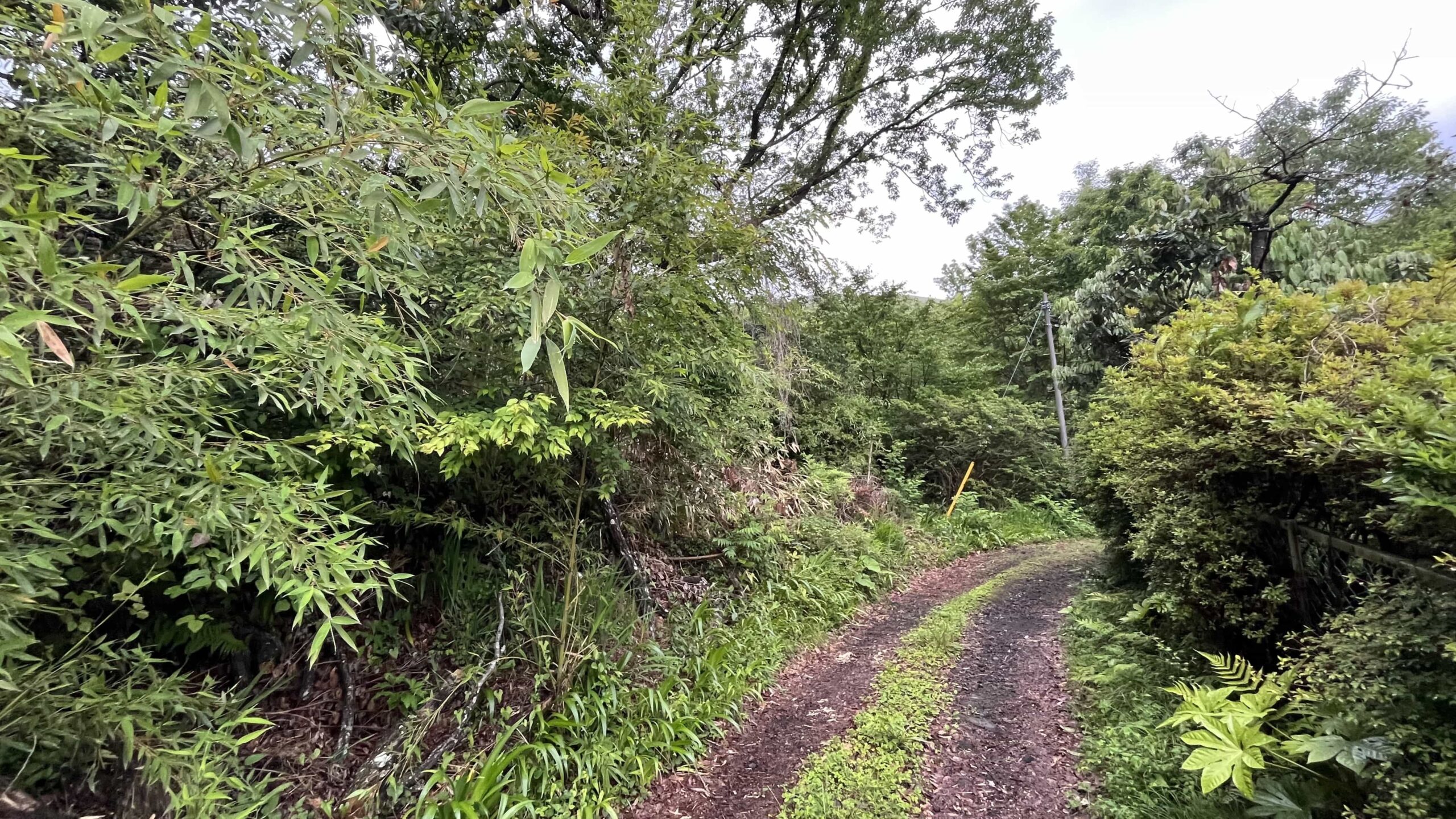 #122_静岡県伊東市池618-27