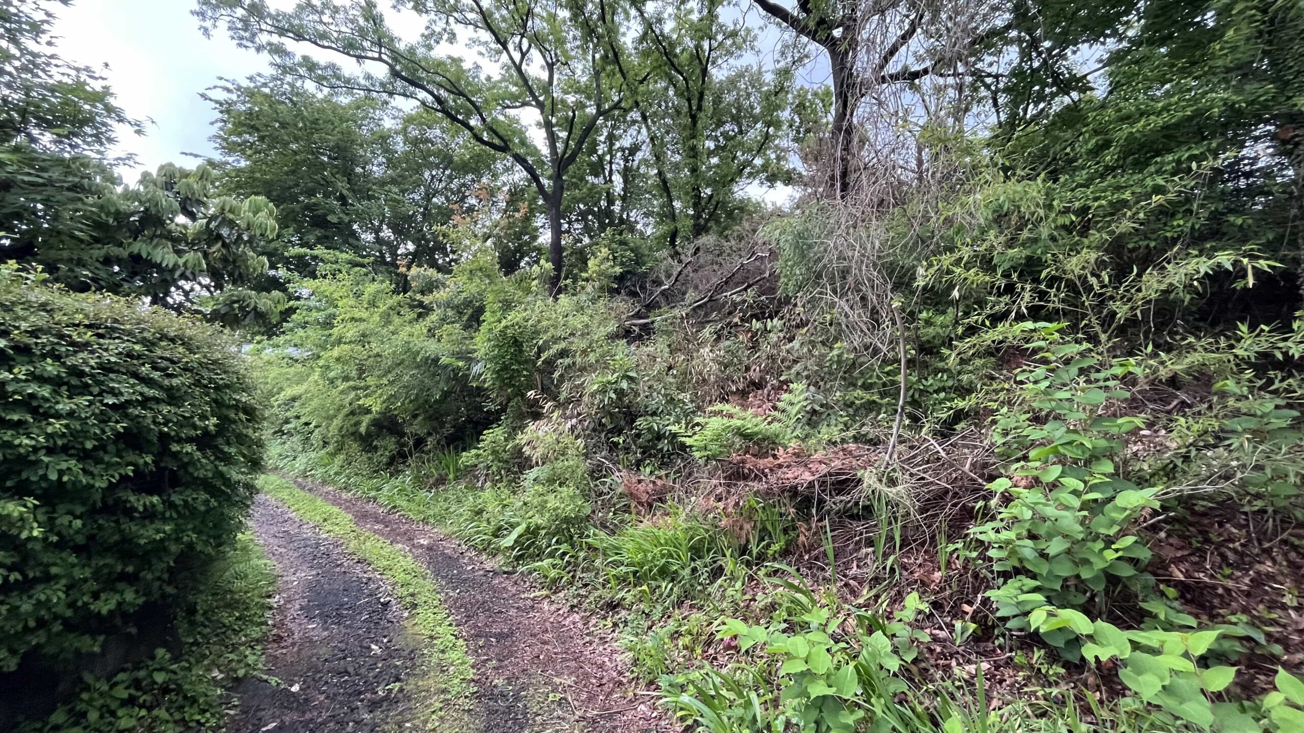 #122_静岡県伊東市池618-27