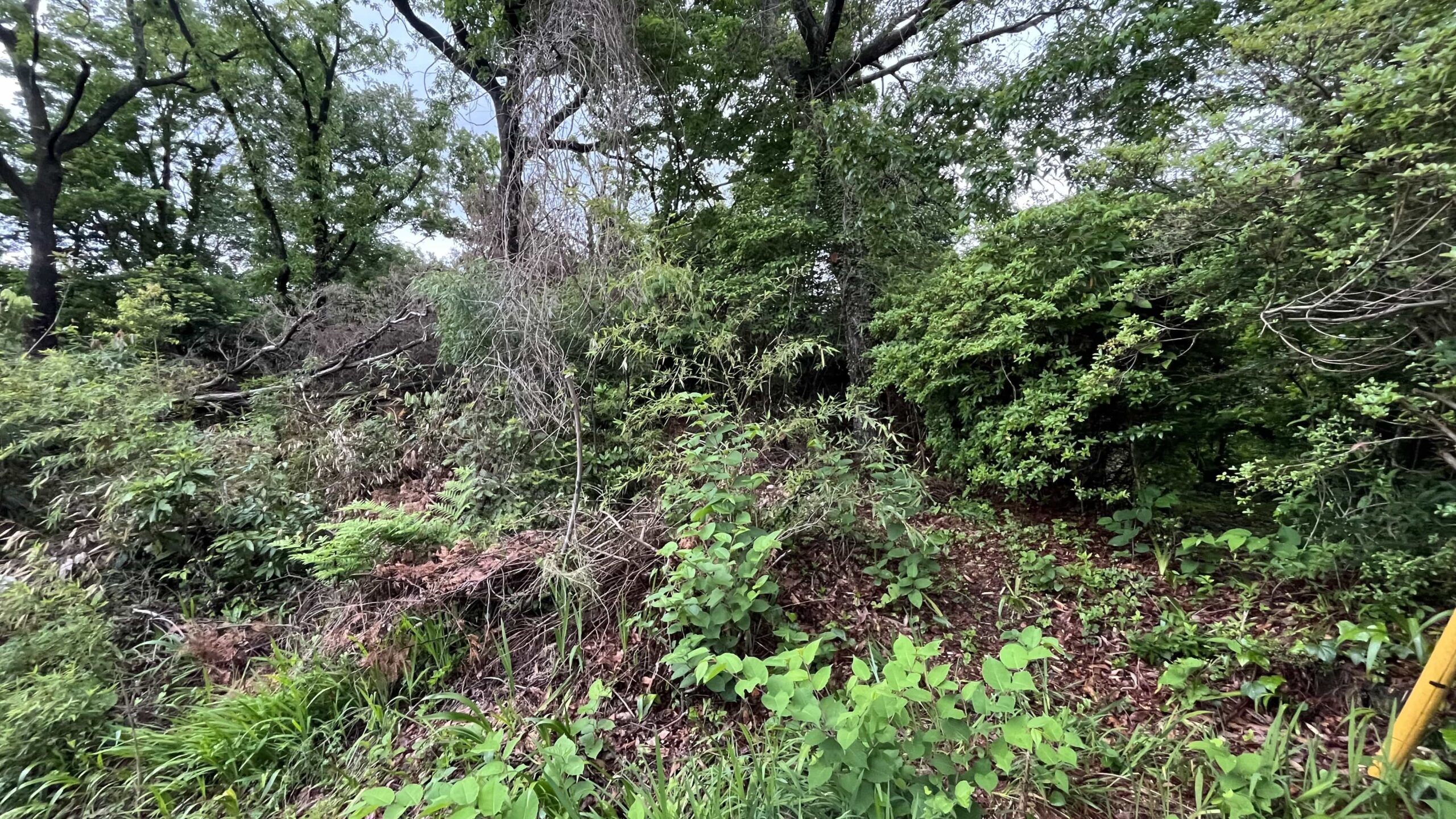 #122_静岡県伊東市池618-27