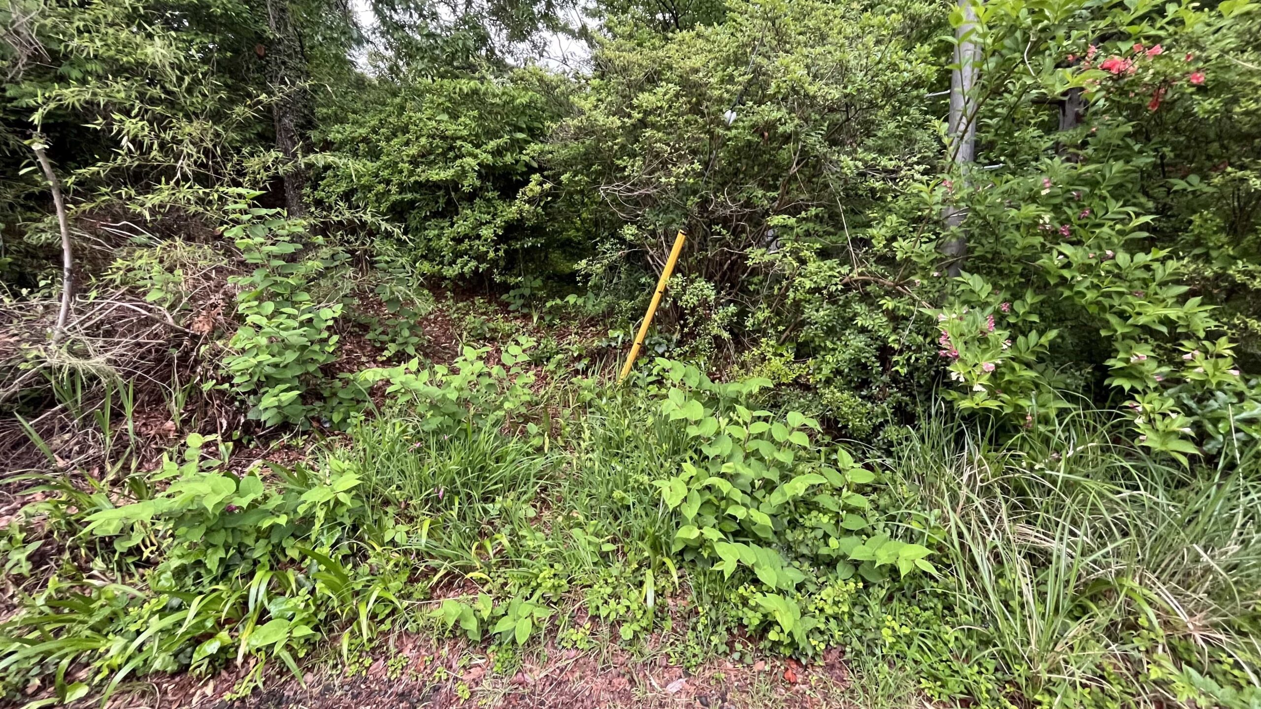 #122_静岡県伊東市池618-27