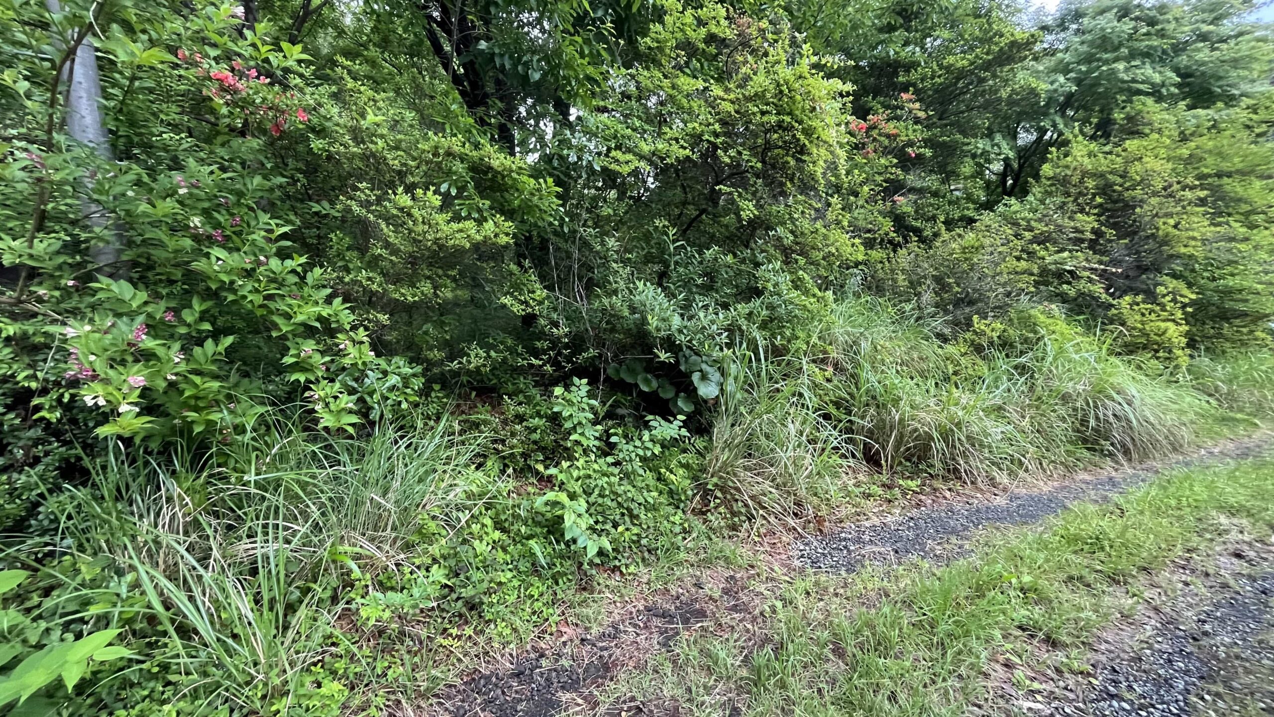 #122_静岡県伊東市池618-27