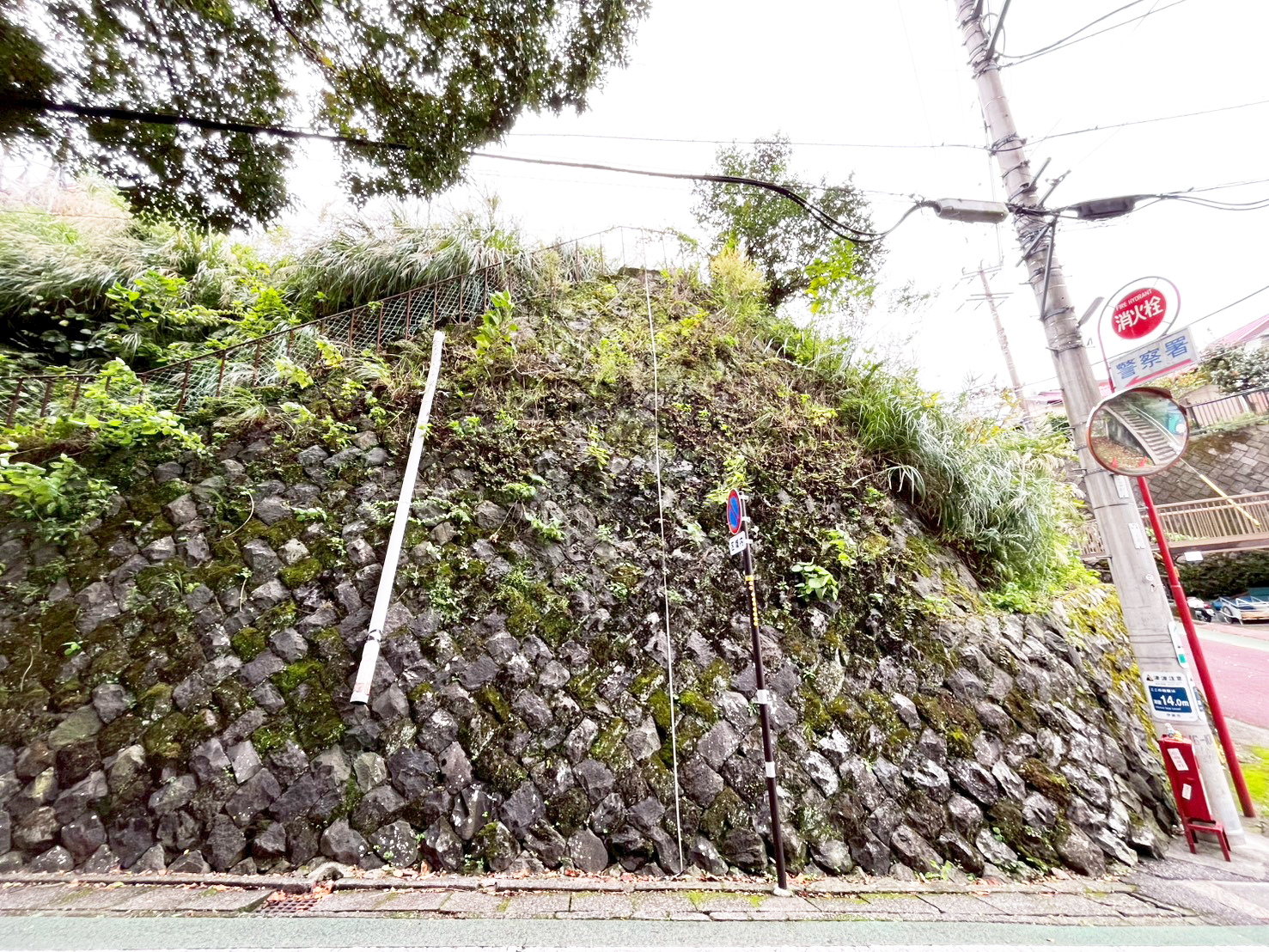 #212_静岡県伊東市竹の台