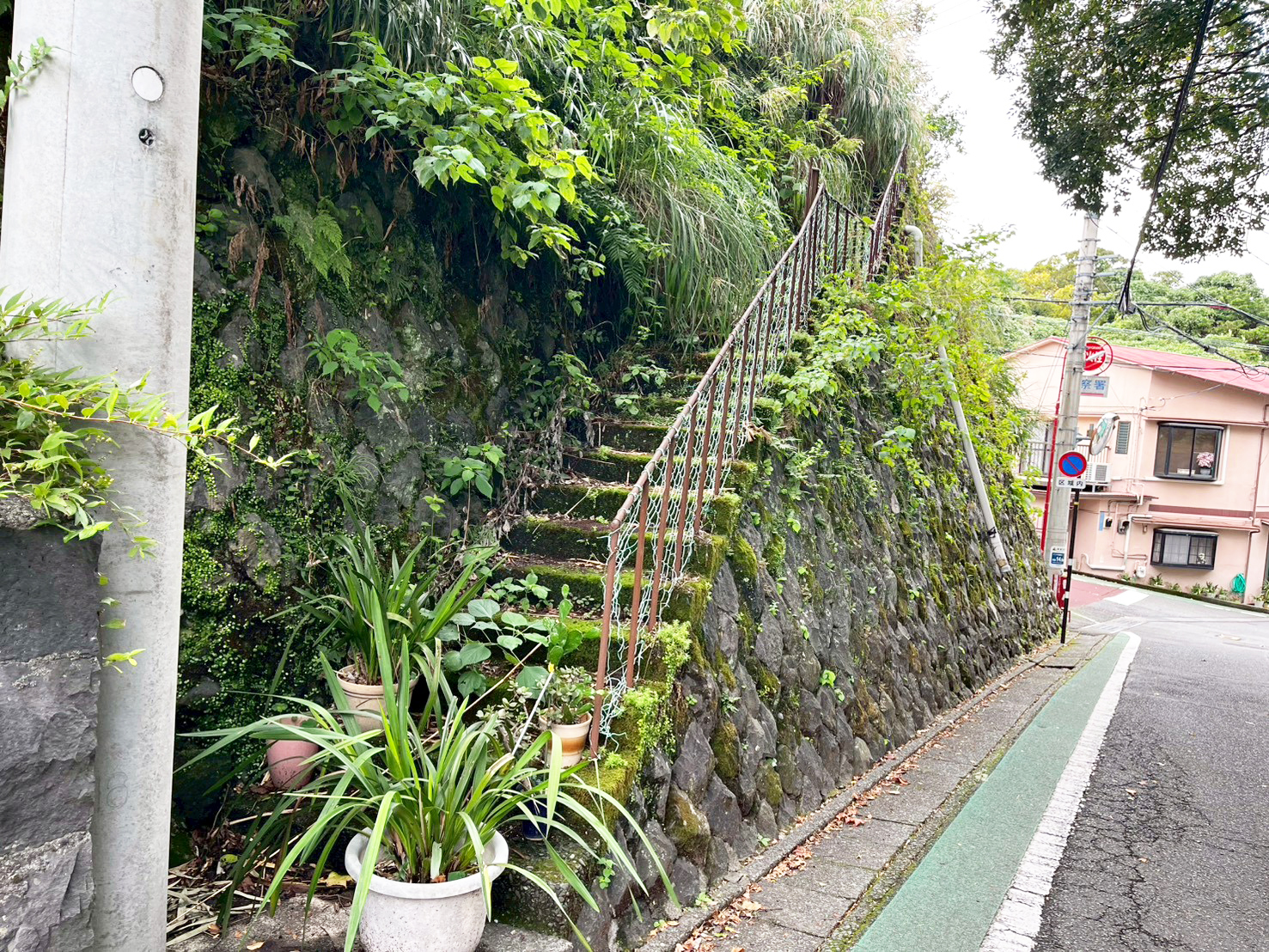 #212_静岡県伊東市竹の台