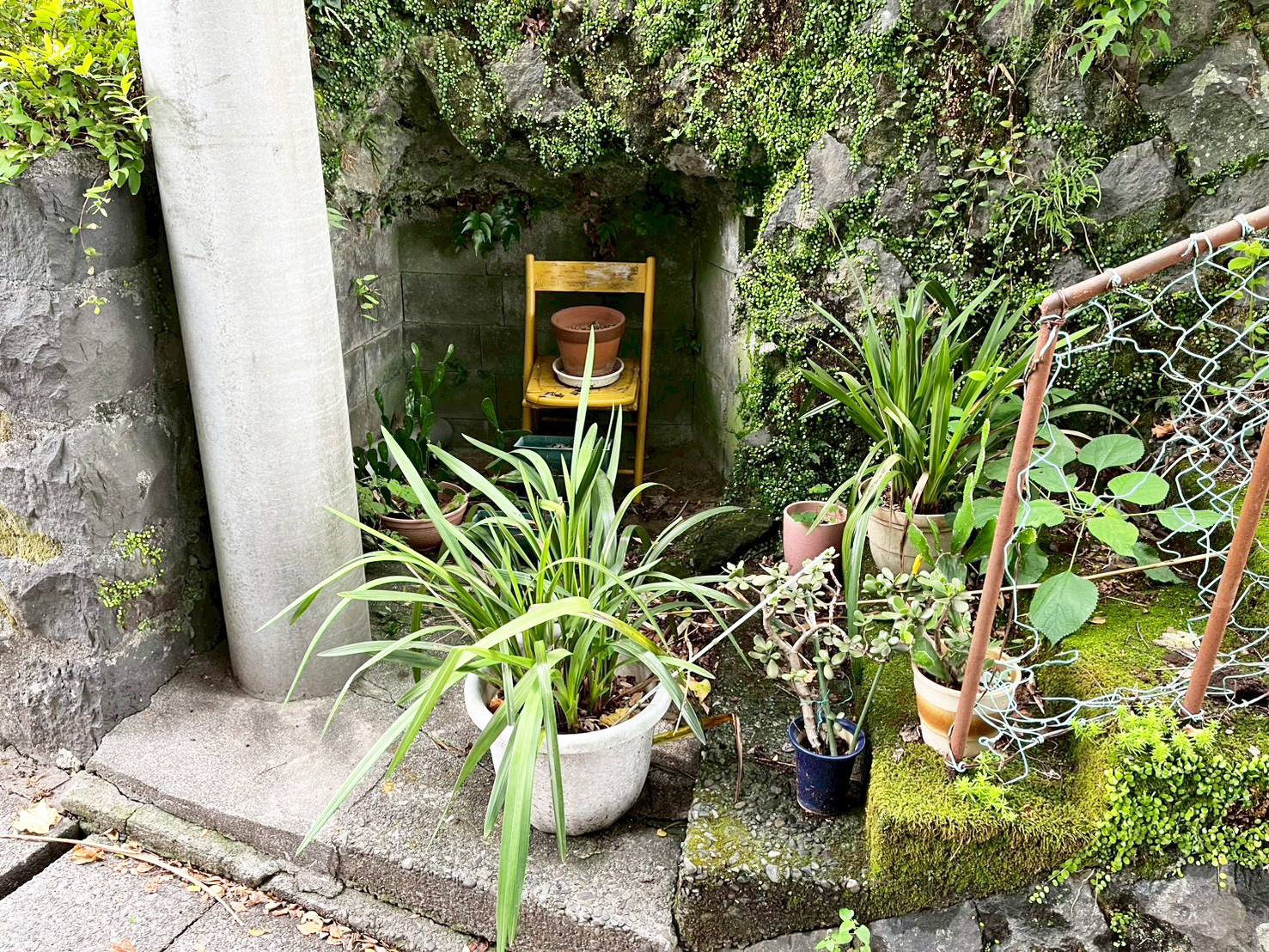 #212_静岡県伊東市竹の台