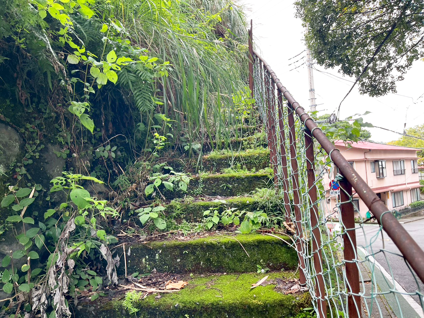 #212_静岡県伊東市竹の台