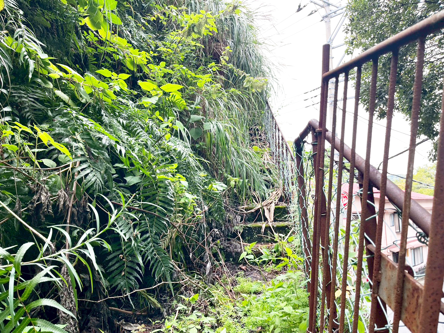 #212_静岡県伊東市竹の台