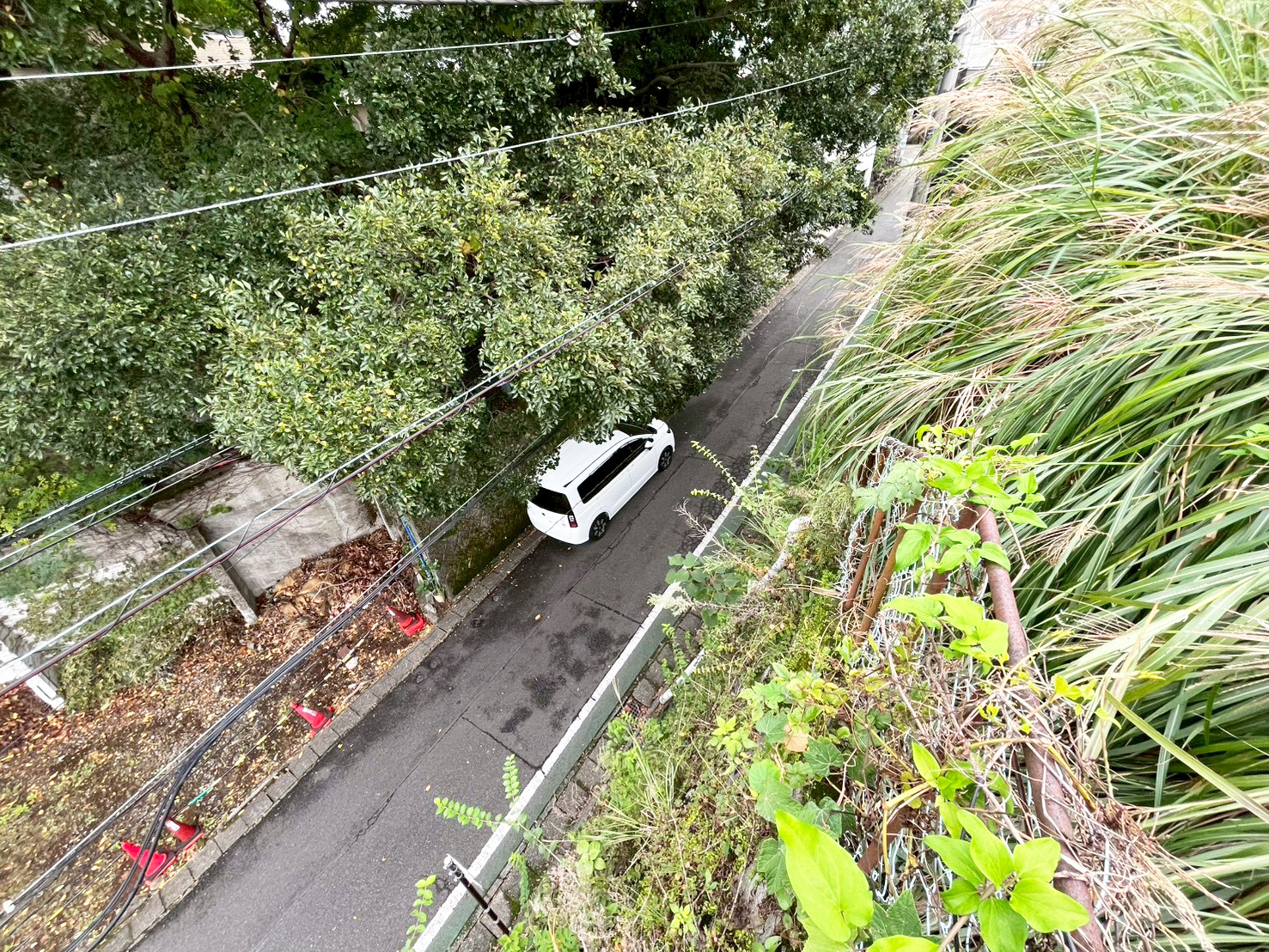 #212_静岡県伊東市竹の台