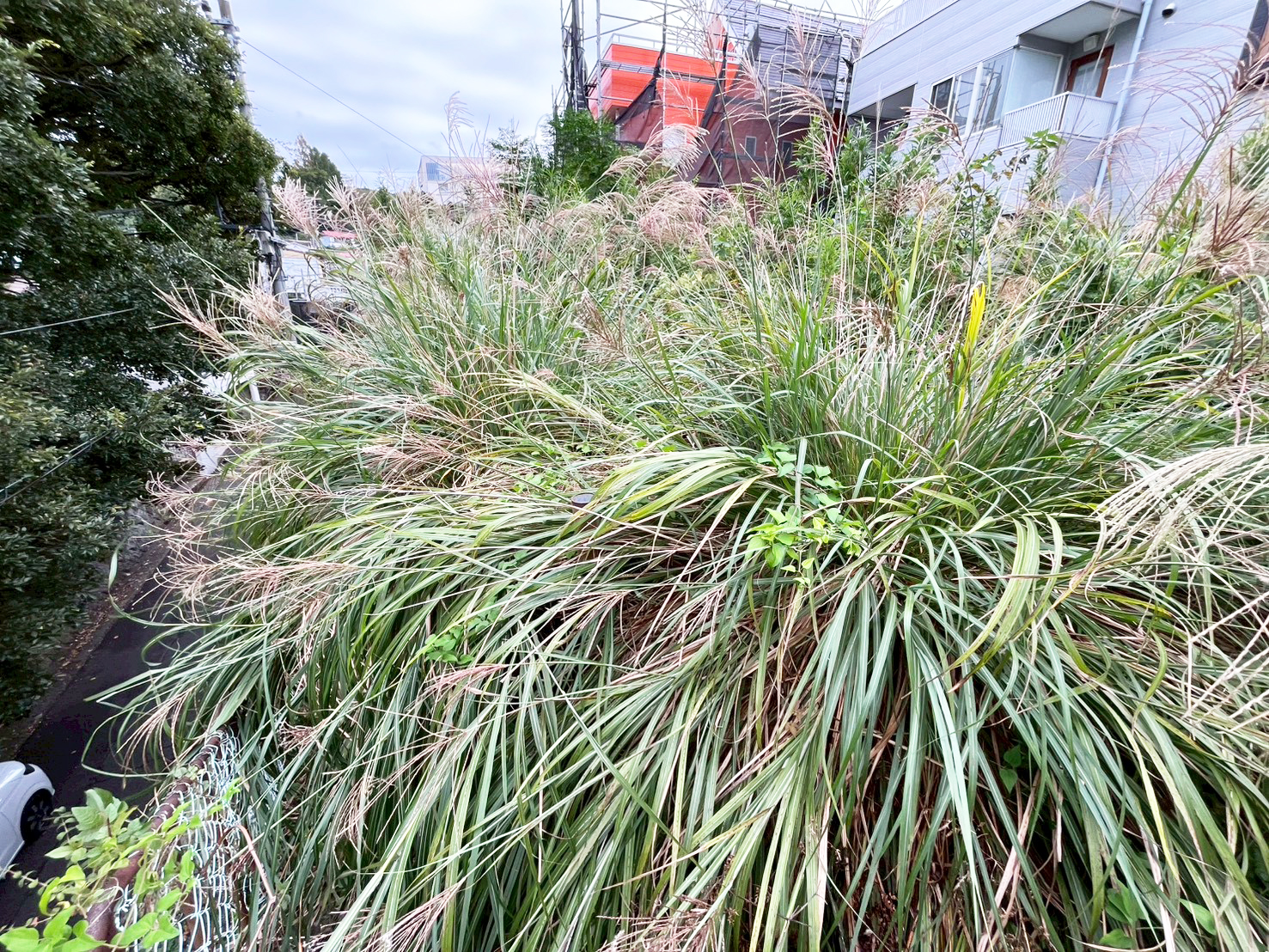 #212_静岡県伊東市竹の台