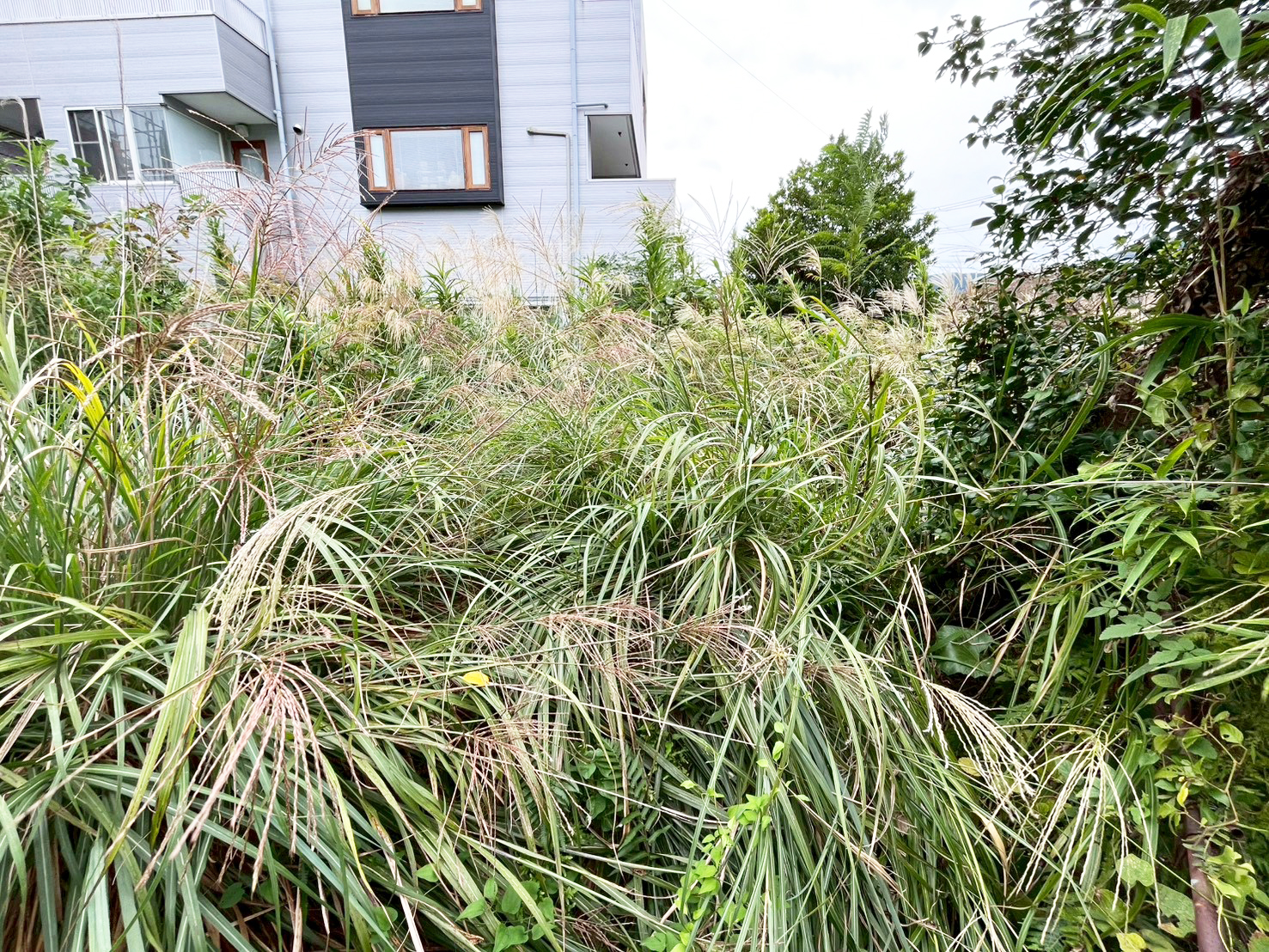 #212_静岡県伊東市竹の台