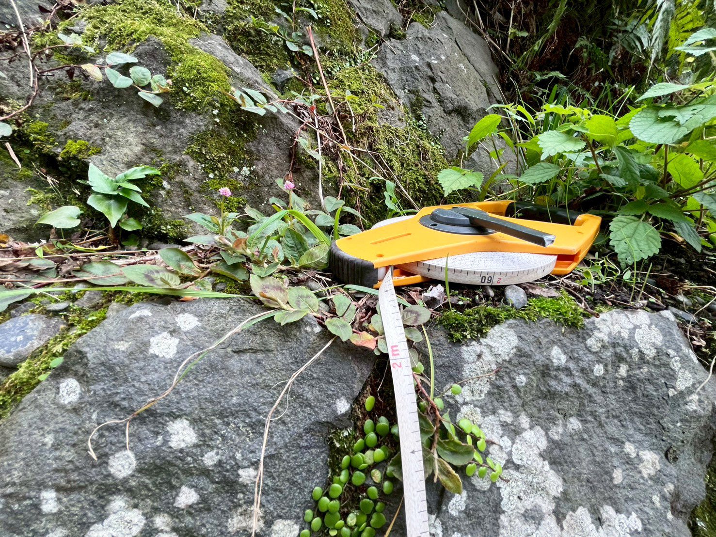 #212_静岡県伊東市竹の台