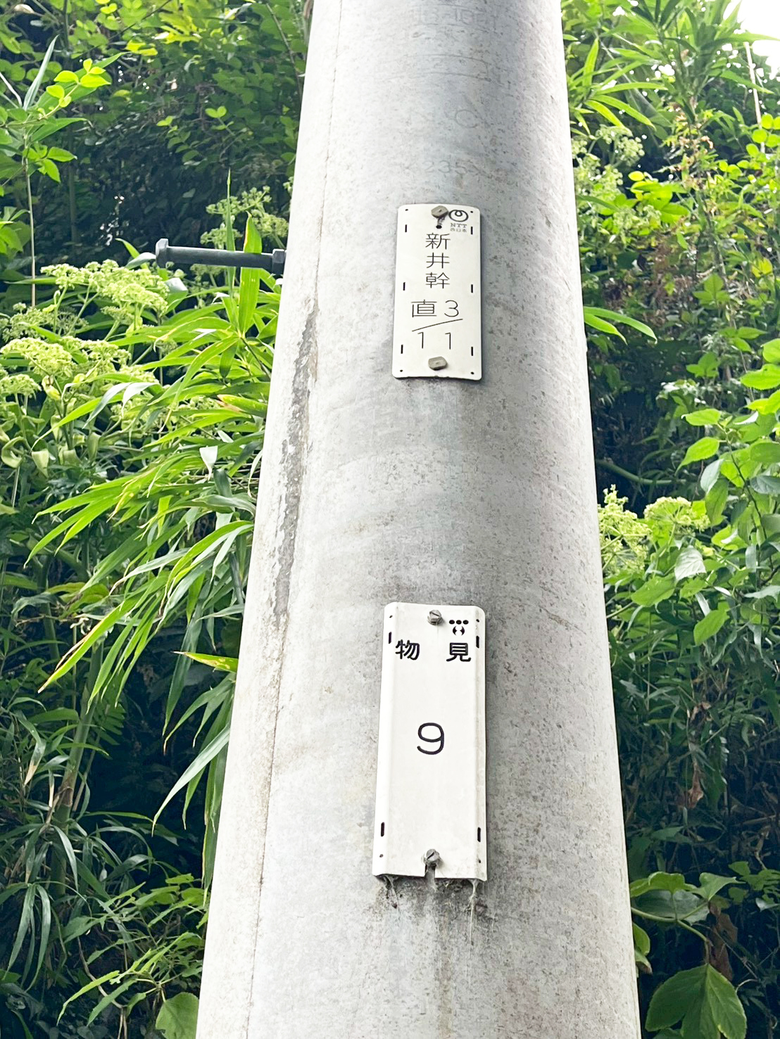 #212_静岡県伊東市竹の台