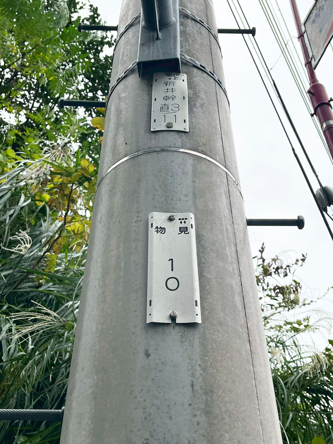 #212_静岡県伊東市竹の台