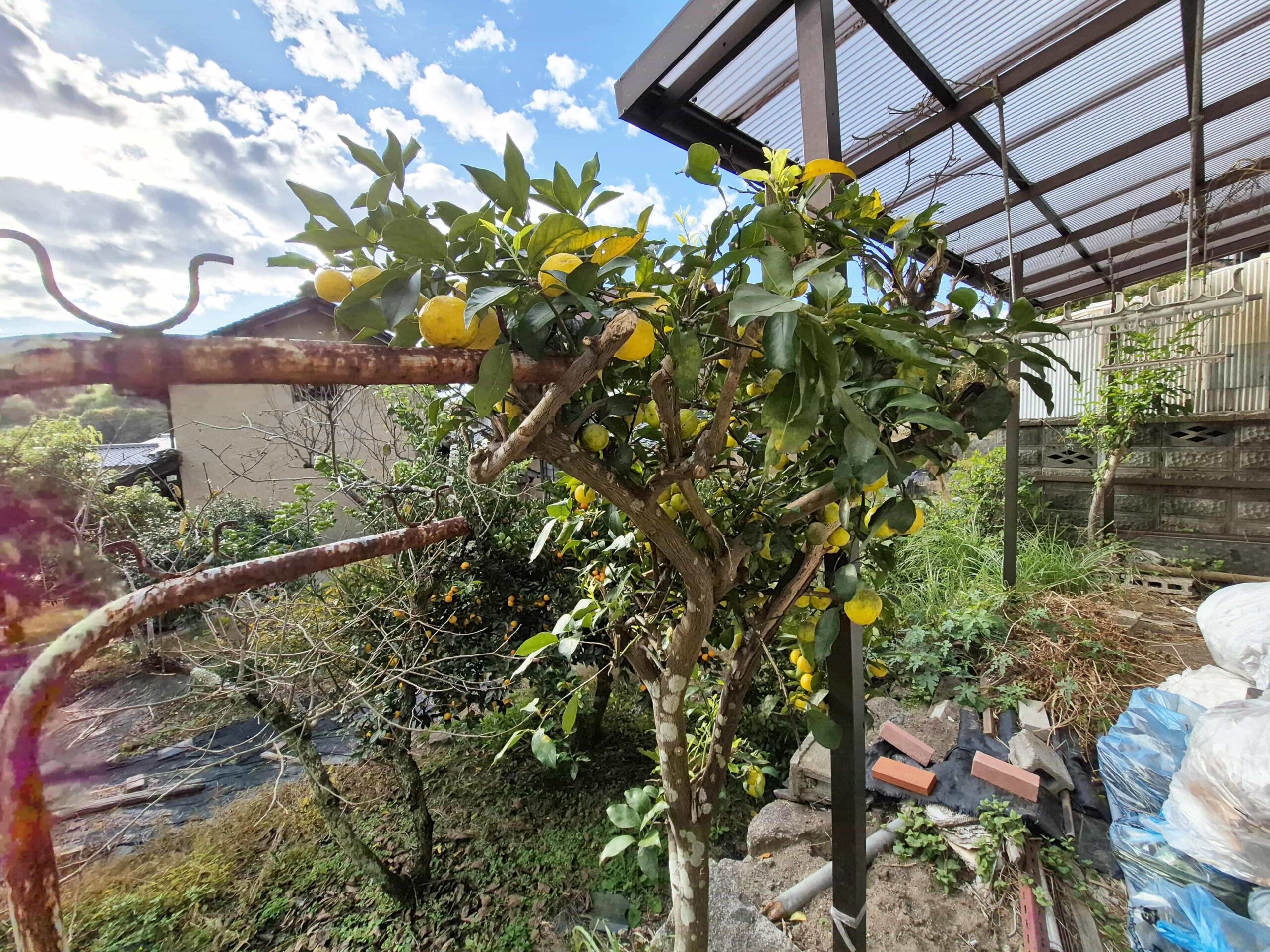 #242_広島県府中市広谷町