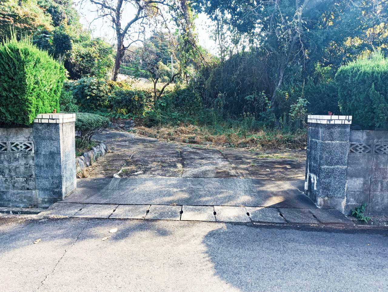 #235_佐賀県多久市北多久町