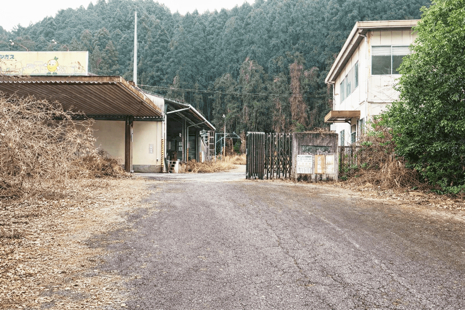 #468_大分県日田市天瀬町女子畑