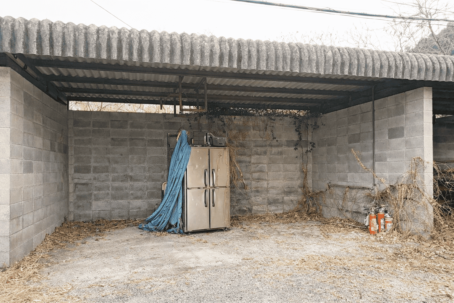 #468_大分県日田市天瀬町女子畑