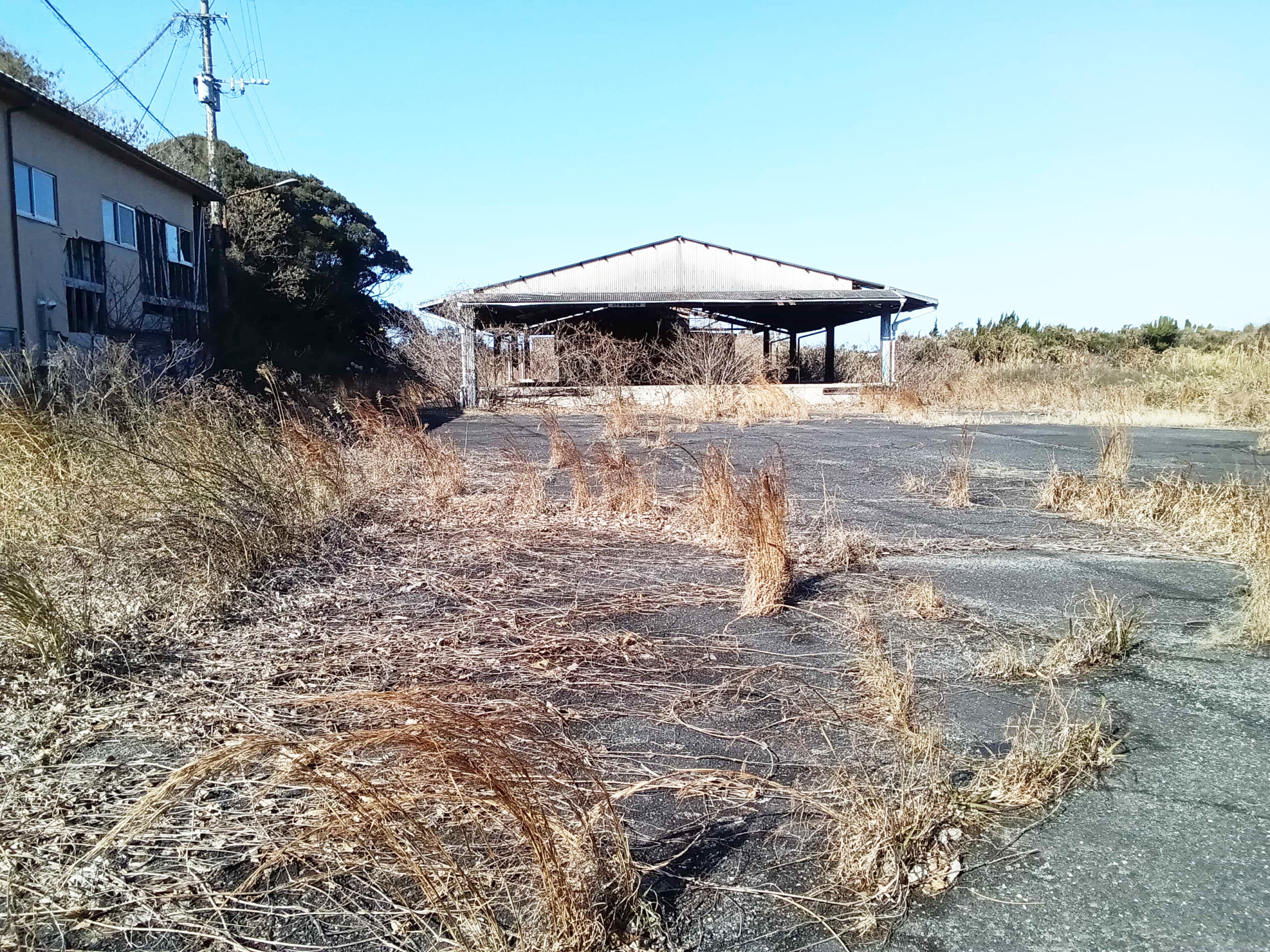 #368_福岡県糸島市志摩小金丸
