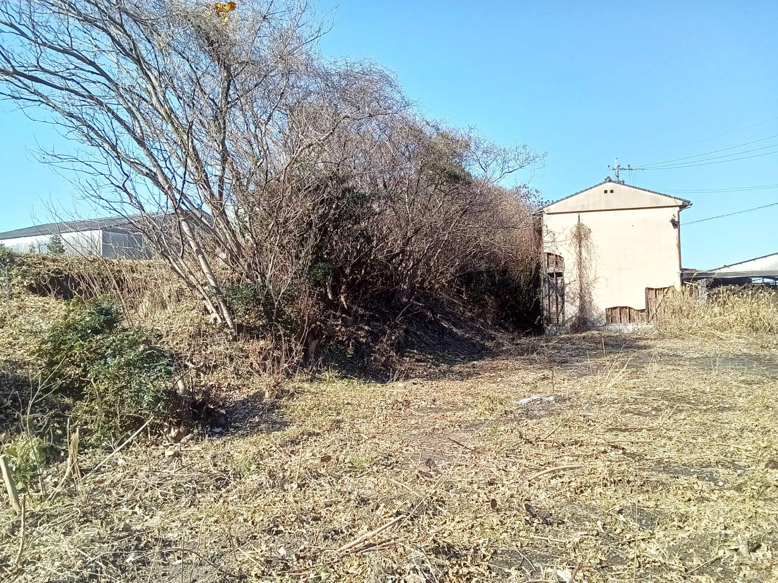 #368_福岡県糸島市志摩小金丸