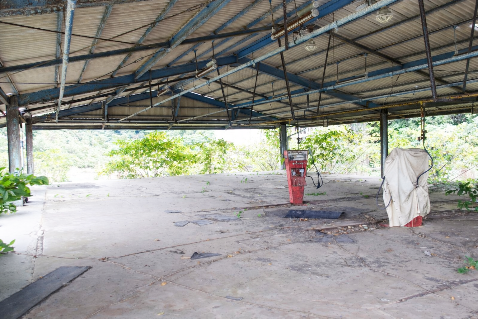 #368_福岡県糸島市志摩小金丸