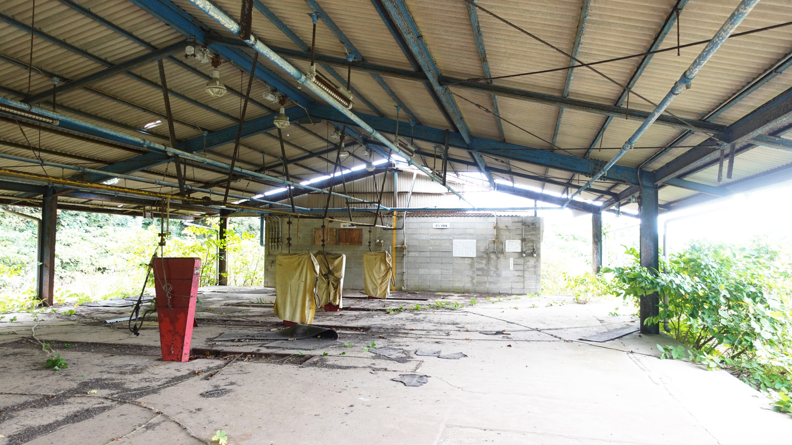 #368_福岡県糸島市志摩小金丸