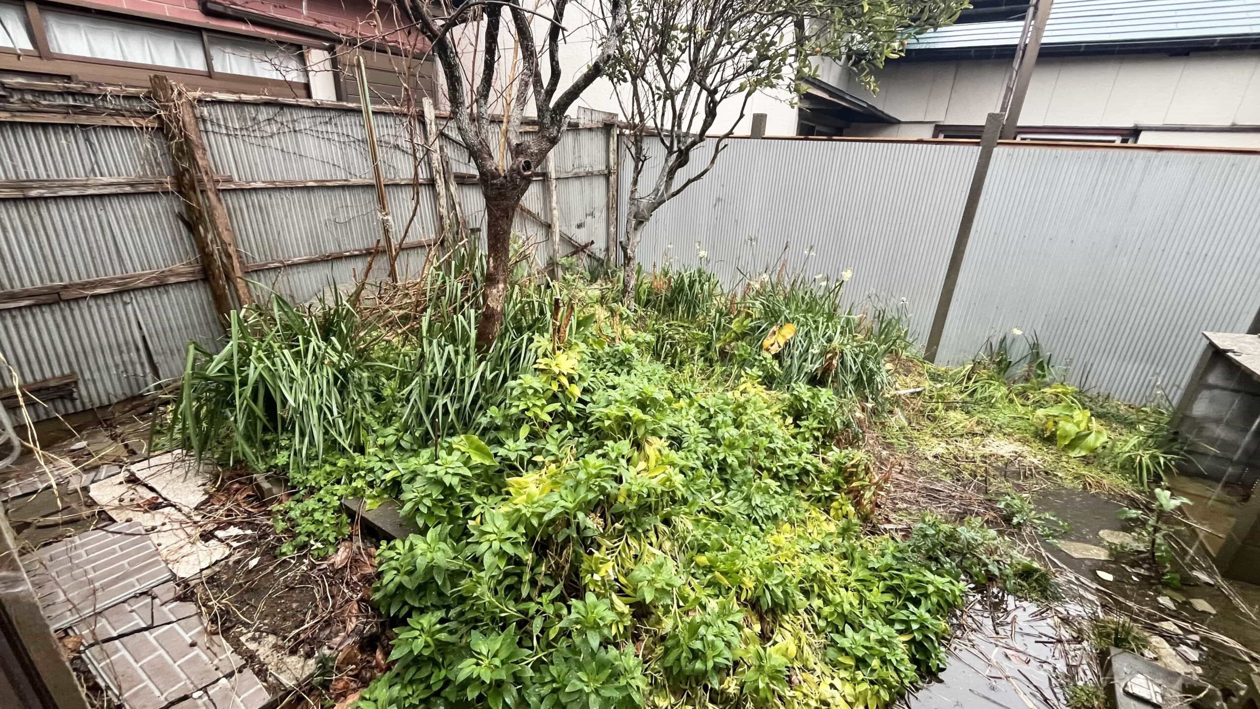 #618_千葉県銚子市川口町１丁目