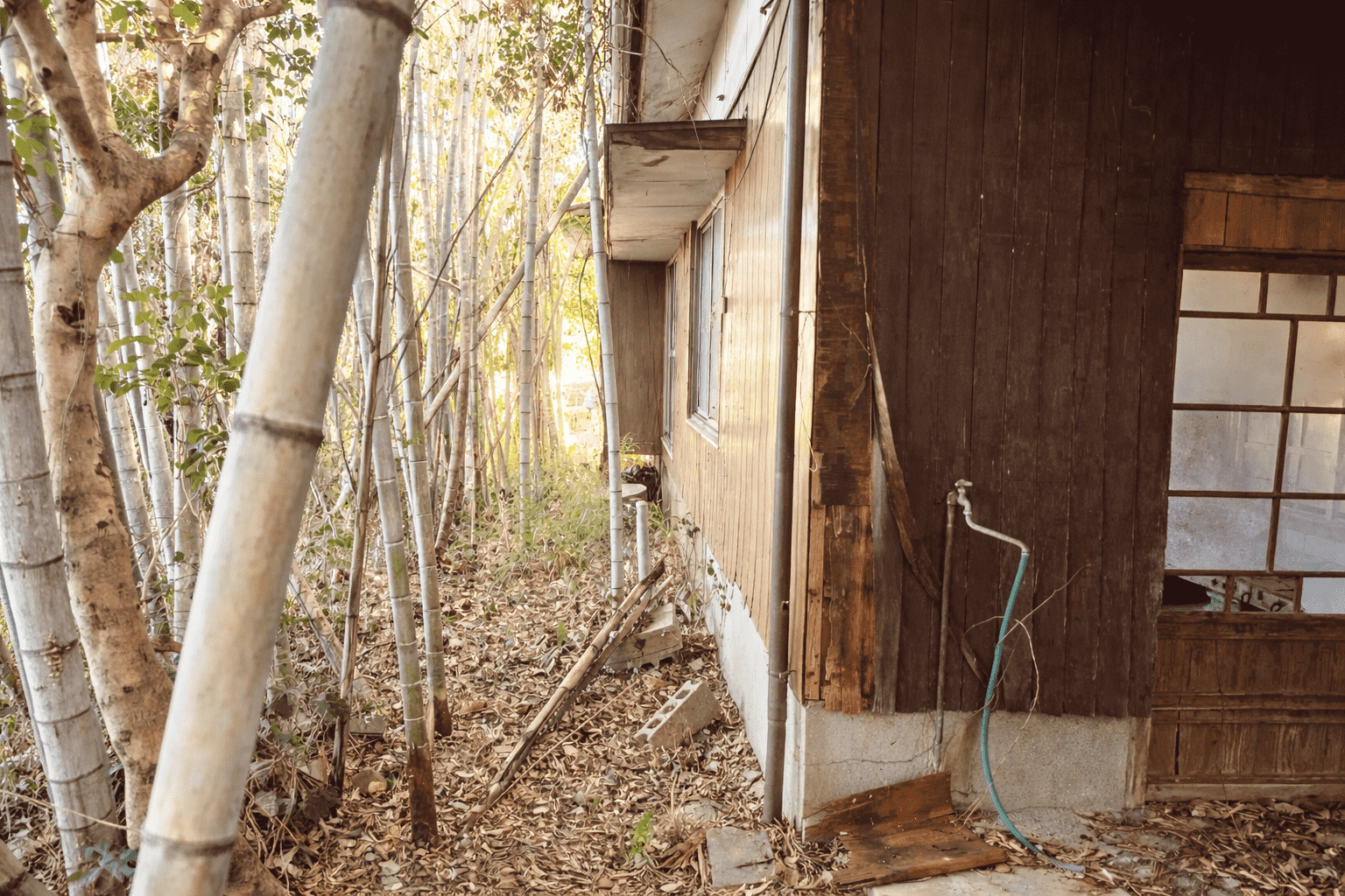 #160_熊本県玉名市青野106