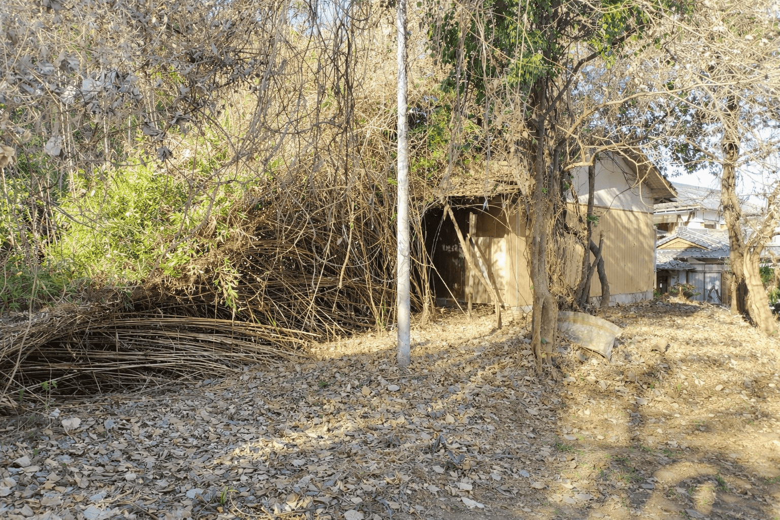 #160_熊本県玉名市青野106