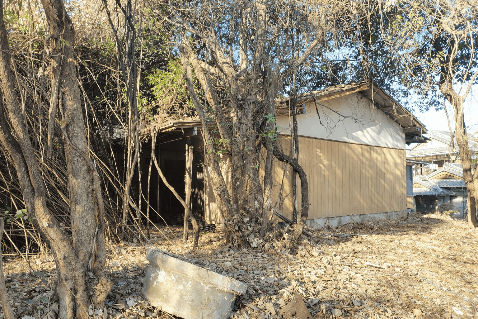 #160_熊本県玉名市青野106