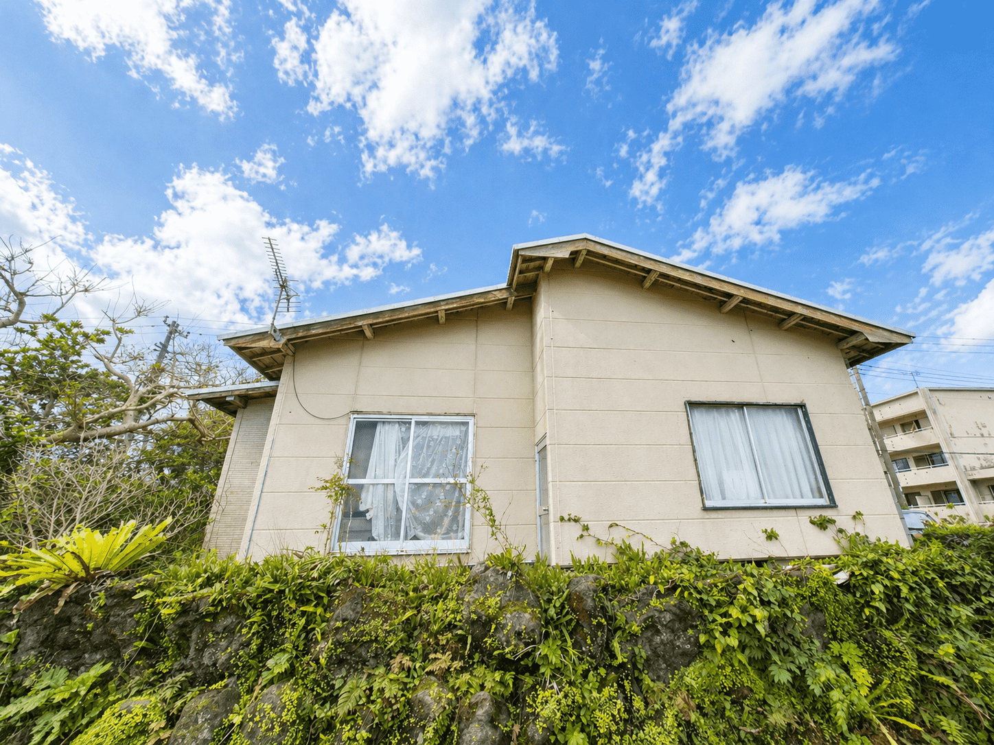 #596_東京都八丈島八丈町