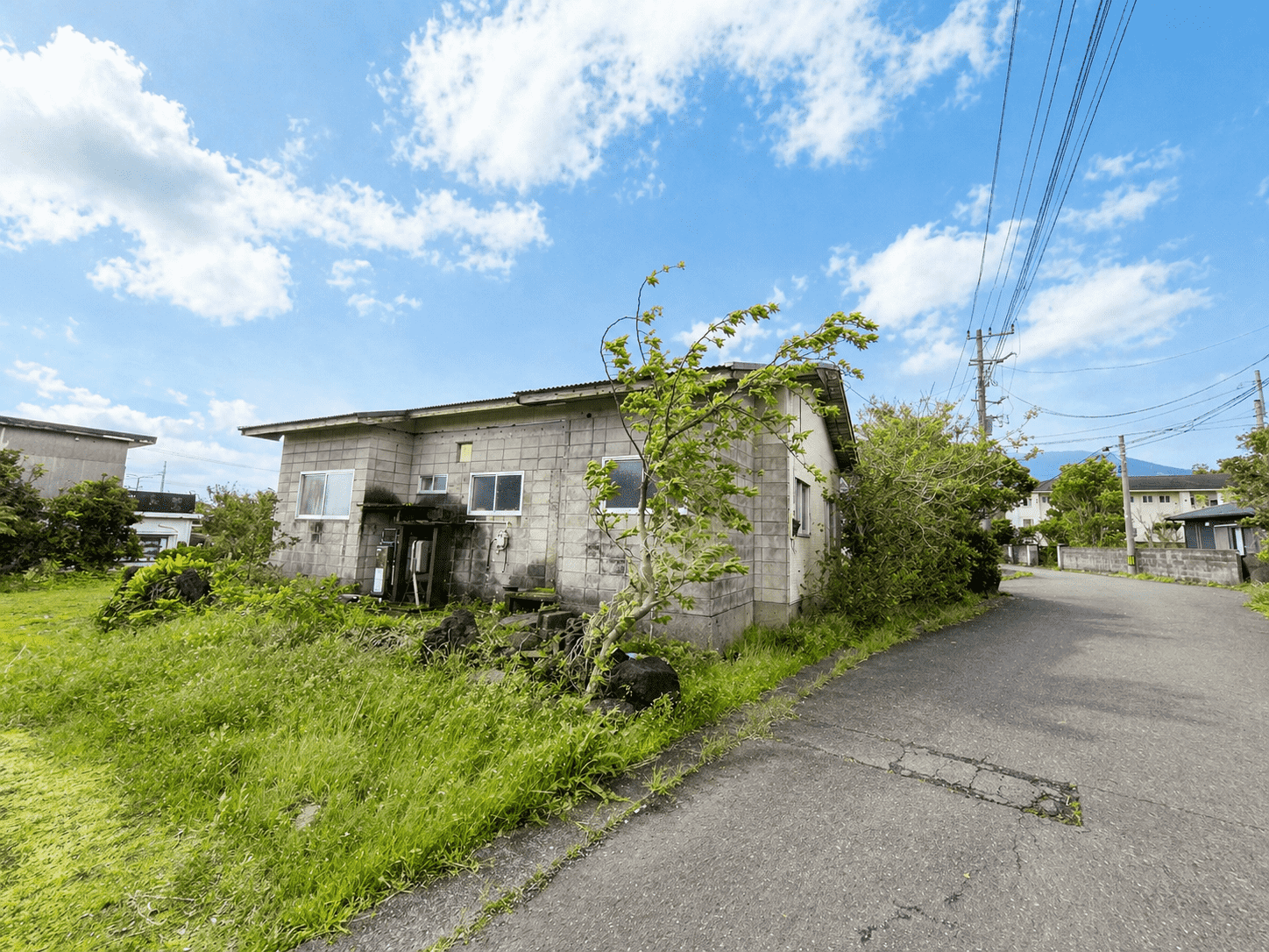 #596_東京都八丈島八丈町