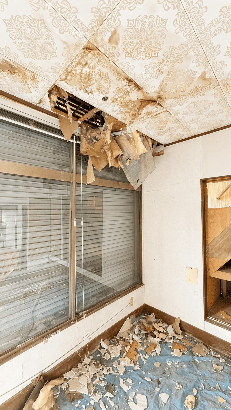 #A205_埼玉県坂戸市善能寺