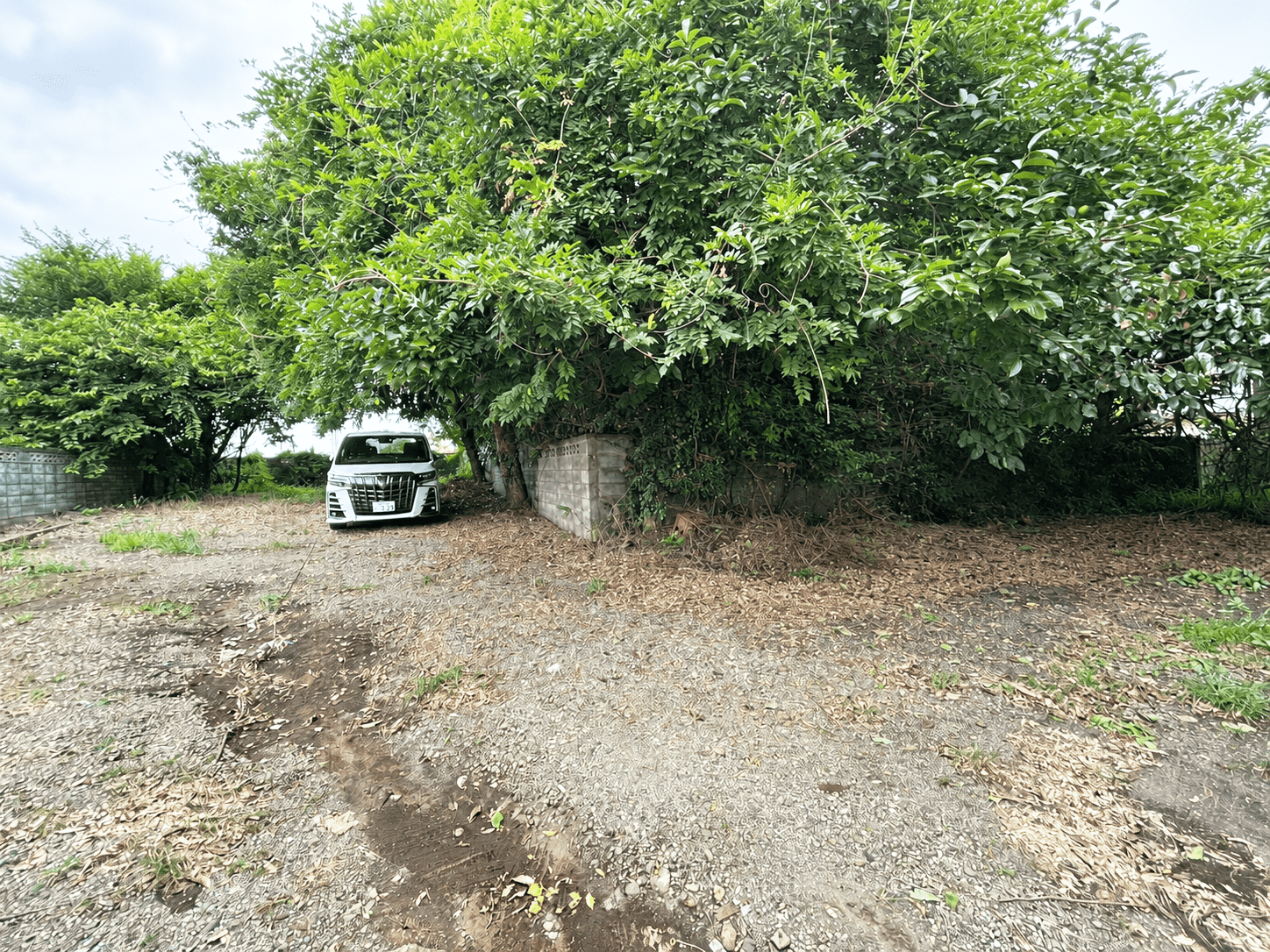 #1434_千葉県八街市八街い
